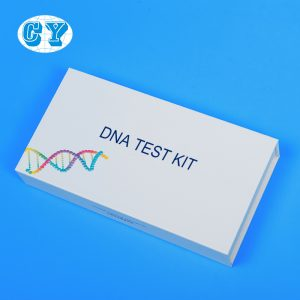 Self Collection DNA Test Kit User Friendly DNA Collection Kit Human DNA Test Kit